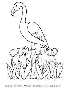 7 Best Flamingo color ideas | flamingo color, flamingo, flamingo art