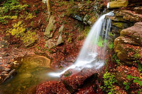 Landscape Forest Waterfall Water Rock Nature Green River Valley