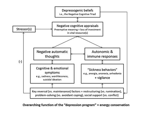 Beck Proposes An Integrative Theory Of Depression Association For