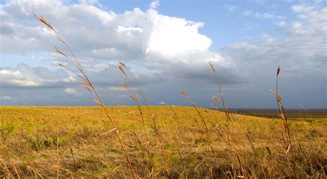 Flint Hills Tallgrass Prairie Preserve | The Nature Conservancy