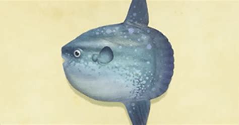Acnh sea creatures list - nibhteasy