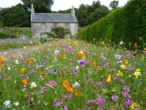 Ready to open your windows and immerse yourself in the greenery? Culzean Garden, Scotland | Wild flower meadow, Wildflower ...