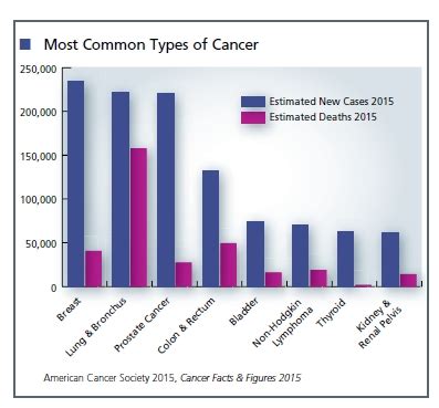 What Are Most Common Types Of Cancer Cancerwalls