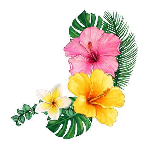 Tropical Flower Png Transparent Png Download