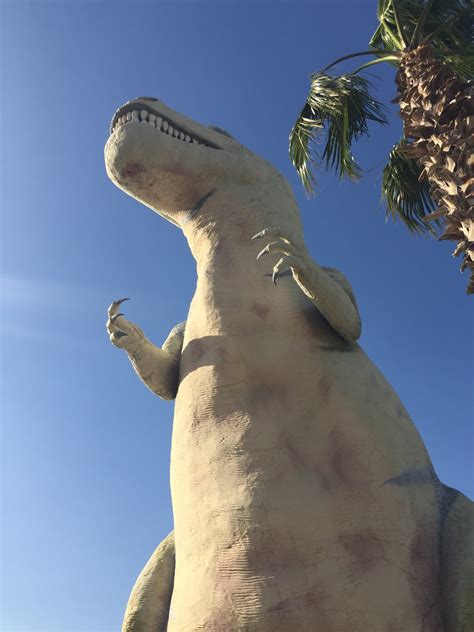 Will Blanks Blog Seeing Dinosaurs In Real Life