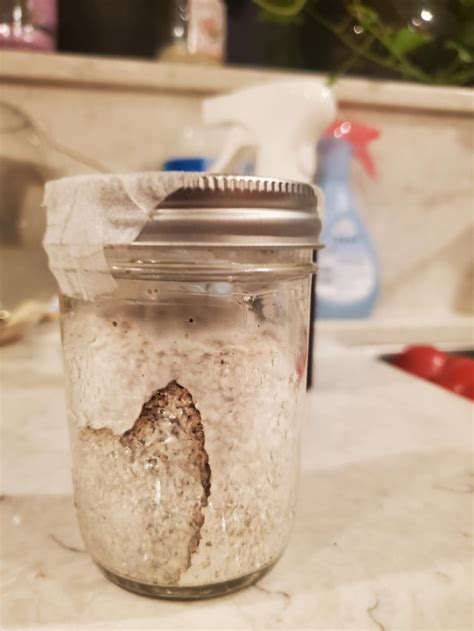 What Happened Here Can I Save The Mycelium Rcontamfam