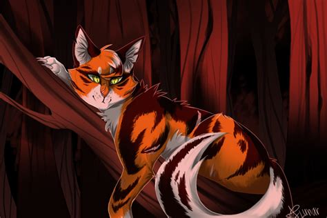 Mapleshade By Ssilverbeeze On Deviantart