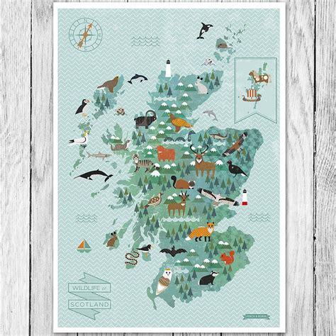 Wildlife Map Of Scotland Print By Kate Mclelland Shop Illustrated Map