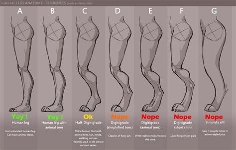 (michael o'mara books, $14.99 softcover. Artwork Legs & Feet shape Preference by Dashie911 -- Fur ...