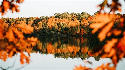 Wallpaper Id 8322 Lake Trees Autumn Shore Landscape 4k Free