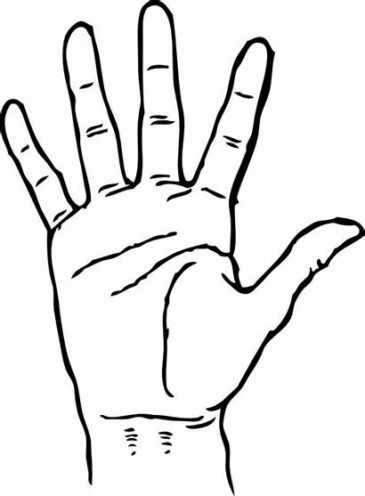 Hand Coloring Palm Template Facing Drawing Pages