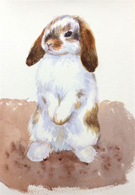 A watercolor set can contain 6, 7, 12, 14, or 15 individual brushes that range in shape and size depending on the manufacturer. Step-By-Step: Animal Portrait Of A Cute Holland Lop ...
