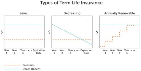 What Is A Term Life Insurance Policy And How Does It Work