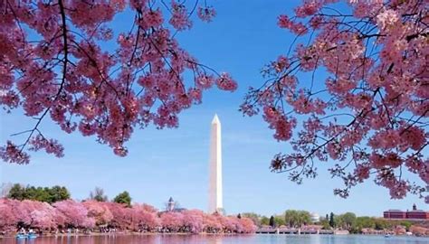 10 Things To Do In Washington Dc In October On Your Us Vacay