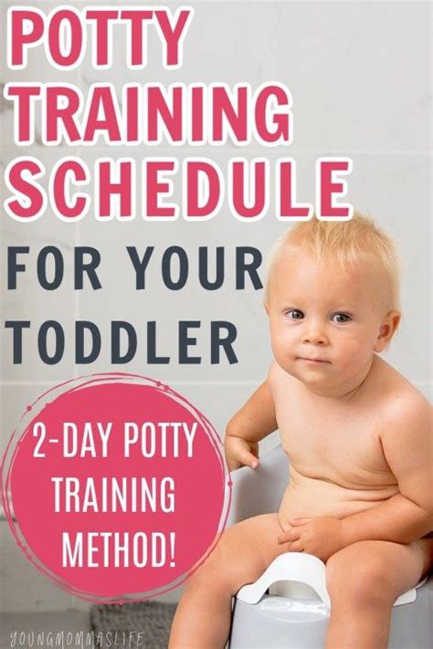 Are You Getting Ready To Start Potty Training Your Toddler Boy If So