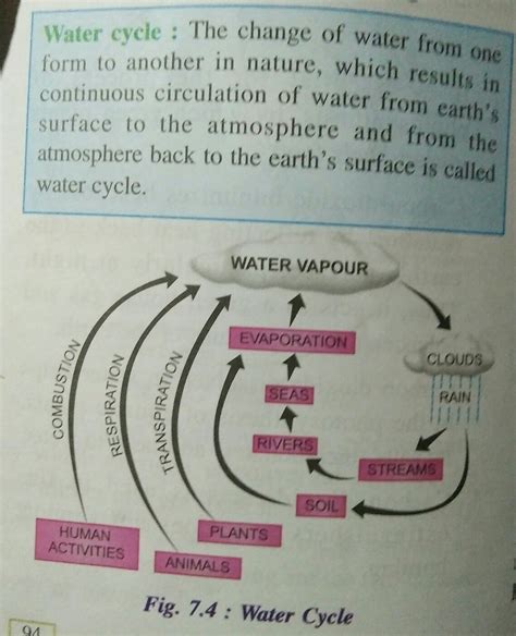 Diagram Explain Water Cycle With The Help Of Diagram Mydiagramonline