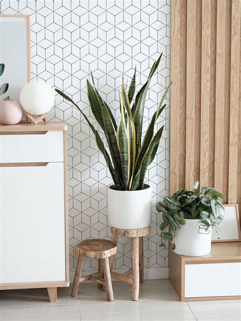 Brighten Your Home With These Eco Friendly Removable Wallpapers