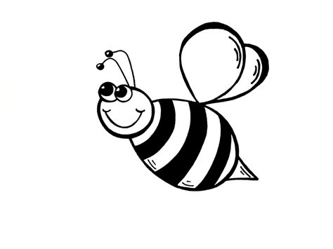 Bee Drawing Free Download On Clipartmag
