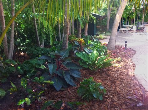 Some tips for a diy backyard paradise. Tropical Paradise - Backyard Makeover - Tropical ...