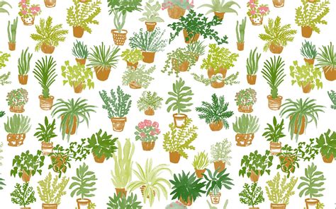 Tumblr Green Plant Computer Wallpapers Wallpaper Cave