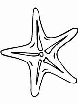 Starfish Coloring Getdrawings sketch template