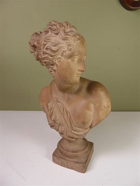 Antiques Atlas 19th C Terracotta Bust Of Aphrodite