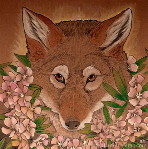 Coyote — Weasyl