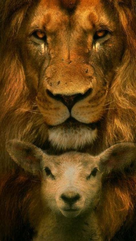 The Lion And The Lamb Jesus Pinterest