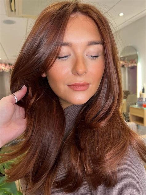 Stunning Chestnut Brown Hair Colours For