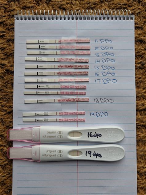 Easy At Home Pregnancy Test Line Progression Gunapermata