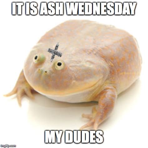 It Is Wednesday My Dudes Memes Imgflip