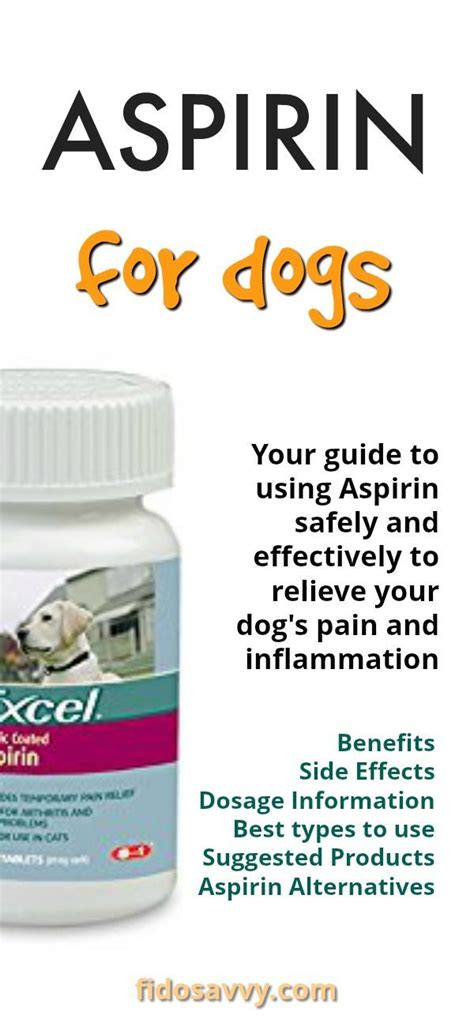 Learn How To Use Aspirin Safely For Your Dog Aspirin For Dogs