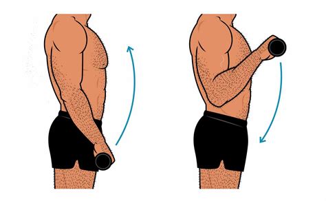 The 3 Best Exercises For Building Bigger Forearms