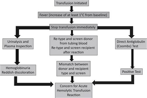 Blood Product Transfusions And Reactions Hematologyoncology Clinics