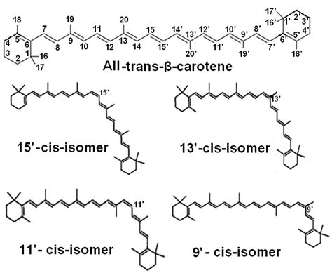 Structures Of β Carotene And Its Four Major Cis Isomers Download