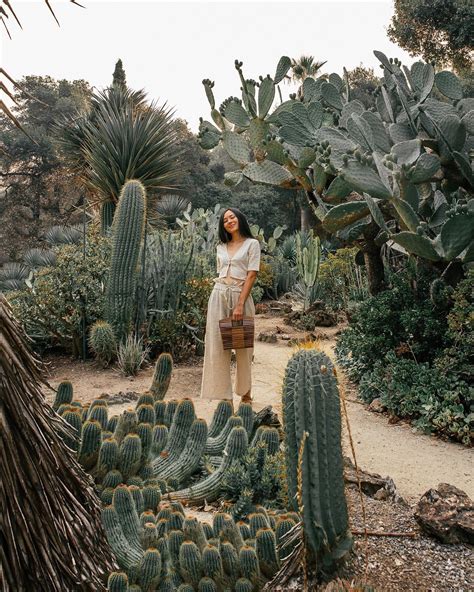Arizona Cactus Garden A Guide To San Franciscos Most Instagrammable