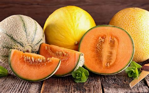 Le Melon Un Délicieux Fruit De Saison Dossier