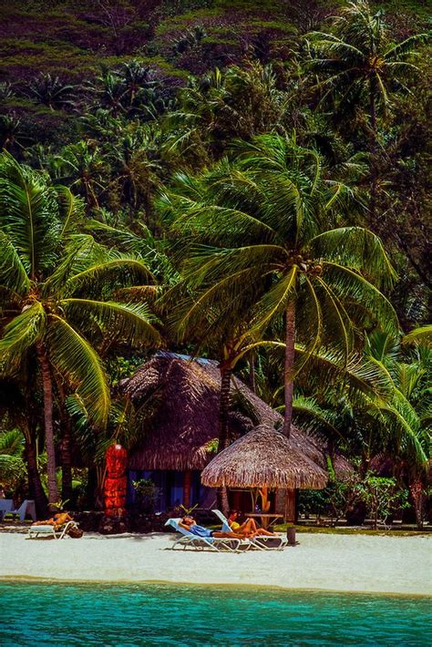 Bora Bora French Polynesia French Polynesia Travel Spot Dream