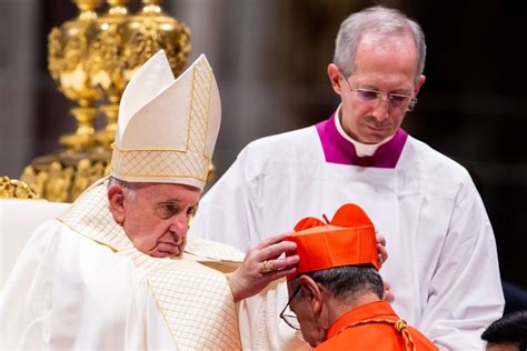 Pope Francis Names 21 New Cardinals Including Us Bishop Mcelroy
