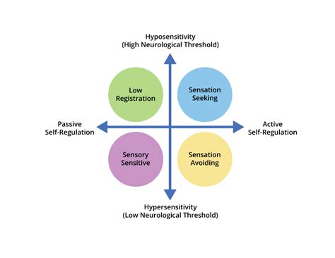 sensory integration understanding the power of the eight senses