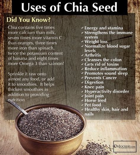 Benefits Of Chia Seeds Chia Seeds Benefits Healthy Life Digestive My Xxx Hot Girl