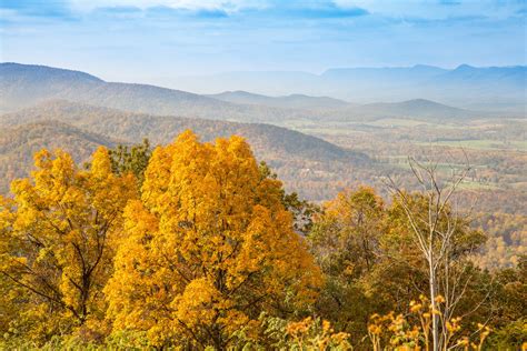 Best Time To See Shenandoah National Park Fall Foliage In Virginia 2023