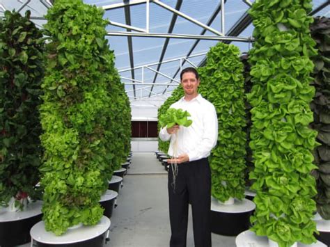 Vertical Aeroponic Tower Garden