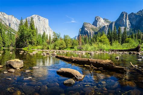 Yosemite National Park Sees Abundance Of Wildlife As Coronavirus Keeps