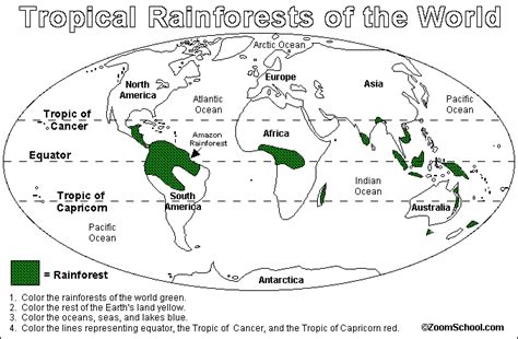 Global Location Of Tropical Rainforest Tropical Rainforest Biome Location Temperature