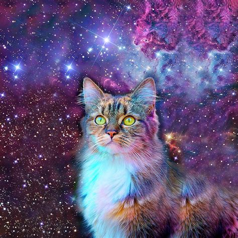 1080x1920 smart cat #wallpaper #phone #iphone #vector #cartoon #drawing #grunge. Proud Cat With Space Background Digital Art by Johnnie Art
