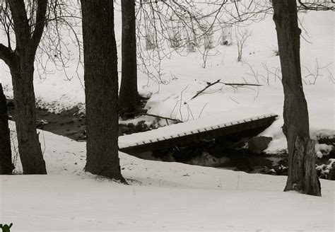 Little Winter Crossing Photograph By Debra Vatalaro Fine Art America