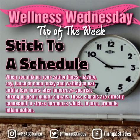 Wellness Wednesday Wellness Wednesday Wellness Wednesday Motivation