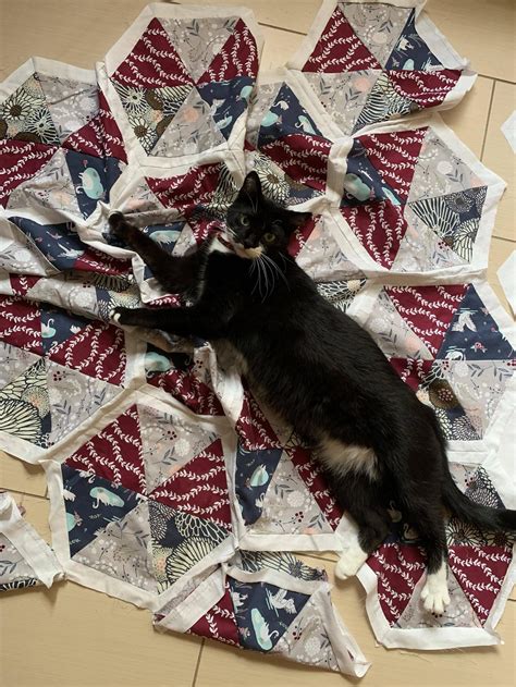 Getting Some Help From One Of The Cats Quilting