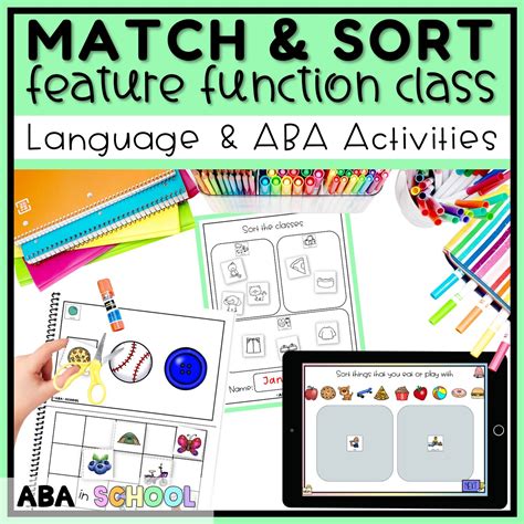 Category Sorting Features Functions Class Speech Therapy Activity